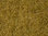 NOCH 07101 Spur H0, N, Wildgras, beige, 6 mm, Inhalt 50g