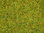 NOCH 08151 Streugras Sommerwiese, 2,5 mm, Inhalt 120g