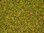 NOCH 08155 Streugras Blumenwiese, 2,5 mm, Inhalt 120g
