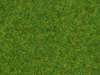 NOCH 08314 Streugras Zierrasen, 2,5 mm, Inhalt 20g
