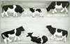 Preiser 10145 H0 Figuren Kühe, schwarz gefleckt