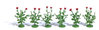 BUSCH 1248 Spur H0 - 6 Klatschmohnpflanzen