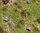 FALLER 180476 Spur H0, TT, N, PREMIUM Landschafts-Segment, Wiese mit Findlingen, 21x14,8cm