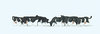 Preiser 79228 Spur N Maßstab 1:60 Figuren , Kühe schwarz gefleckt #NEU in OVP#