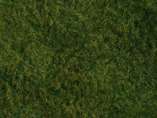 NOCH 07280 Wildgras-Foliage, hellgrün, 20 x 23 cm, Inhalt: 0,046qm