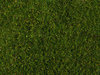NOCH 07291 Wiesen-Foliage, mittelgrün, 20 x 23 cm, Inhalt: 0,046qm