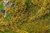 FALLER 181615 Spur H0, TT, N, Z, Blätterfoliage, hellgrün