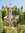 NOCH 58612 Spur N,Friedhof, 16,5 x 11,5 cm, 4,0 cm hoch