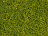 NOCH 08363 Streugras "hellgrün" 4mm - Inhalt 20g