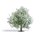 BUSCH 3651 Spur H0 Apfelbaum, blühend, 75mm