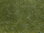 Noch 07252 Bodendecker-Foliage dunkelgrün, 12 x 18 cm, Inhalt: 0,02 qm