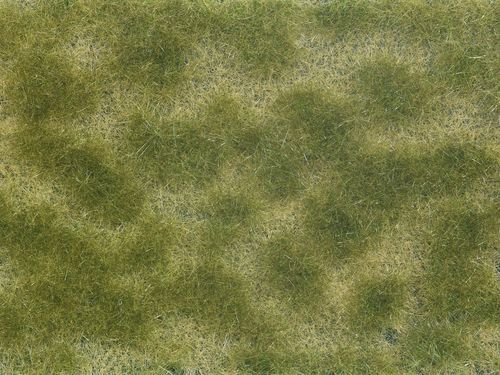 Noch 07253 Bodendecker-Foliage grün/beige, 12 x 18 cm, Inhalt: 0,02 qm