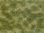 Noch 07253 Bodendecker-Foliage grün/beige, 12 x 18 cm, Inhalt: 0,02 qm