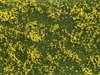 Noch 07255 Bodendecker-Foliage Wiese gelb, 12 x 18 cm, Inhalt: 0,02 qm