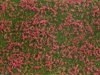 Noch 07257 Bodendecker-Foliage Wiese rot, 12 x 18 cm, Inhalt: 0,02 qm