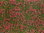 Noch 07257 Bodendecker-Foliage Wiese rot, 12 x 18 cm, Inhalt: 0,02 qm