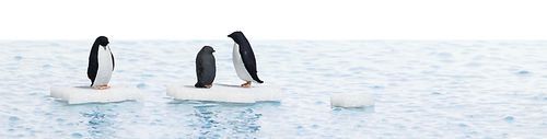 BUSCH 7923 Spur H0 Action Set: Pinguine auf Eisschollen