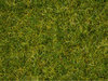 NOCH 07072 Spur H0 Master-Grasmischung Sommerwiese, 2,5 bis 6 mm, Inhalt 50g