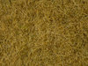 NOCH 07101 Spur H0, N, Wildgras, beige, 6 mm, Inhalt 50g