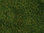 NOCH 07280 Wildgras-Foliage, hellgrün, 20 x 23 cm, Inhalt: 0,046qm