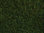 NOCH 07292 Wiesen-Foliage, dunkelgrün, 20 x 23 cm, Inhalt: 0,046qm
