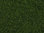 NOCH 07301 Laub-Foliage, dunkelgrün, 20 x 23 cm, Inhalt: 0,046qm