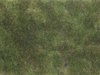 Noch 07251 Bodendecker-Foliage olivgrün, 12 x 18 cm, Inhalt: 0,02 qm