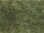 Noch 07251 Bodendecker-Foliage olivgrün, 12 x 18 cm, Inhalt: 0,02 qm