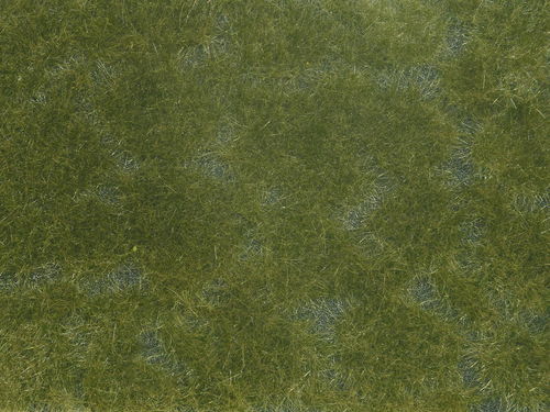 Noch 07252 Bodendecker-Foliage dunkelgrün, 12 x 18 cm, Inhalt: 0,02 qm